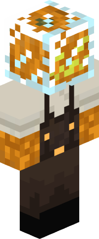 ejdam's skin