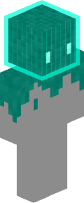 491305fbecc410c6fddbf222af598a504dfbff44451ac50c971cf21951fec52b Minecraft skin