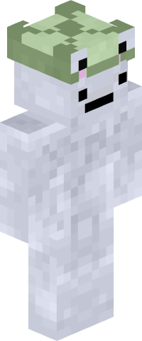 NmCNr17L's skin