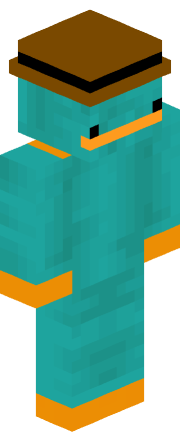 Player skin