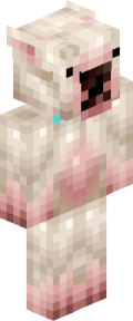 4de3430b189eb45ba8c297d5677b4cfbd0d1373cc3cada52187e887ede3e9ee9 Minecraft skin