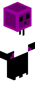 Minecraft Skin