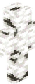 White Custom Minecraft Skin
