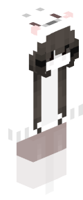 57cc51a3017bfa6bfb5bb6044d4e83d223fb808923a0b944dffae602f810430b Minecraft skin