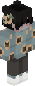 5b1989e66fe43a90f6a15ba6ac49ba751eec07064a253e33ae6905f5c8434335 Minecraft skin