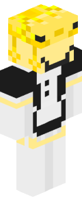 5baf98348e818f6eba6cbf6cdfd6fd4c665a993e461f1b9c4487039d114dd5fa Minecraft skin