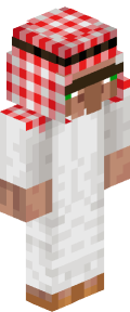 5f729957e21a4fd1020b9afc1a24ae362d05dfd31cc33318e856dd9cc9f64f9e Minecraft skin