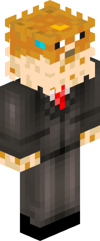 Puffer_discret4