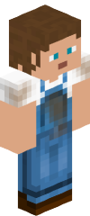 Steve full skin
