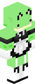 Silver Robot Minecraft Skin