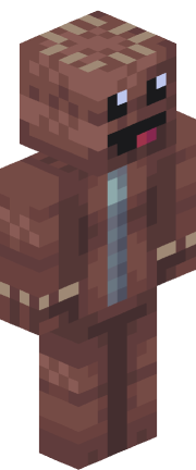 Player skin