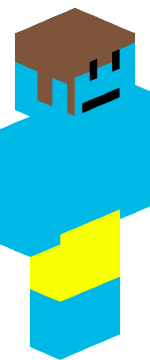 PokeFan_ Minecraft Skin