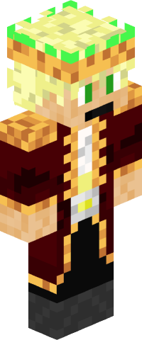Dg200king's skin
