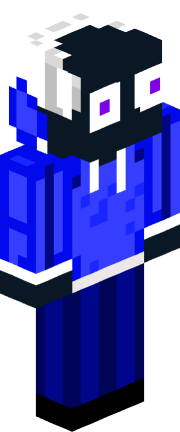 Player skin