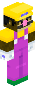6ca82e151515cf07bdd6a1160591aa2a2cda1da899ba0f9317e4cc6903408b49 Minecraft skin