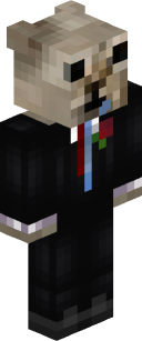 zxhyr's skin