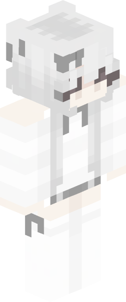 brawlstarss Minecraft skin full body