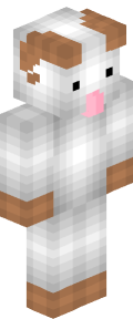 6e9e3e05acf20e5b5d2d70012e827c59a314f8facdefaa901e3f6a40583525fa Minecraft skin