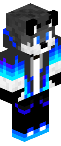Rayze11