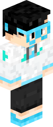 Player skin