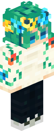 Player skin