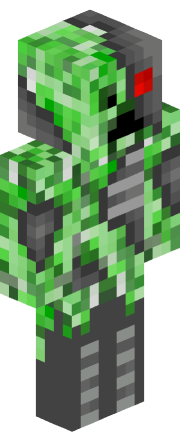 Player skin