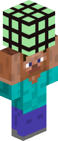 796dae5809a5f0a9730883cbf735687ddbecd651e47b4d38d46e9271d54b32ec Minecraft skin