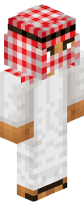 White Steve Minecraft Skin