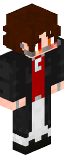 Vice_Land's Minecraft Skin