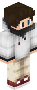 8411a961ccdb168f7d8c8e40e667b24ab00bcd83d0aa5d3480b46f5681328759 Minecraft skin