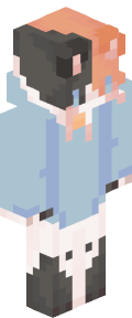Silver Robot Minecraft Skin