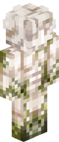866c3ec2e909bd8e01c1f57cc35c3f70db01680630c7bedf61021c732444f1fc Minecraft skin