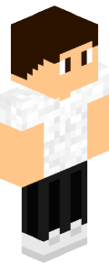 8676eb8e0a67026510224d2a26ac6bd58bb70bede8c01533f40fa79d54d12761 Minecraft skin