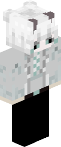 Minecraft Skin
