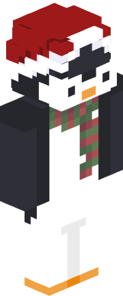 Player skin