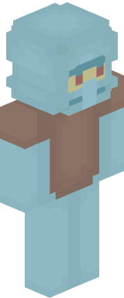 Player skin