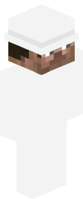 916b4b6cd7aa33e25267ac1d774b3bcfce9520ac9aa86fdb527edab49d782a93 Minecraft skin