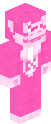 Player skin