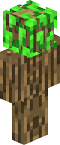 92bd7d259c30b1799ed2516917a3534ed26f695246a92f76d7a01160c57a1e53 Minecraft skin