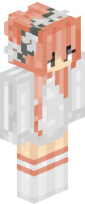 Silver Robot Minecraft Skin