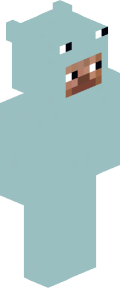 95ae013440981d594c4dcc5480988f31e376aeef1222ad43fe8caaf32b2ee814 Minecraft skin