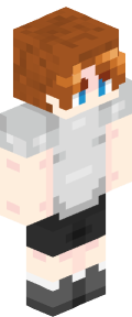 990e038e5dcc1456330f5904e835a823bf9cca2e603904df2b6cee85caafe27b Minecraft skin