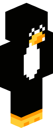Player skin