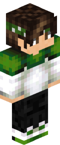 9a65ddbfdcd5d1828746930c596615d9e42167293a2918e4784e252f304daa02 Minecraft skin