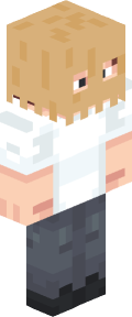 9e9aaee9d53745e53101ce055271c06be6948bcf562078cb1b57cf7340377ee8 Minecraft skin