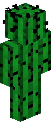 niinne's skin