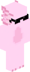 Axolotl