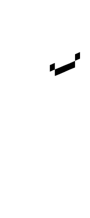 Skin Render