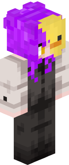 Minecraft skin of DailyDuck