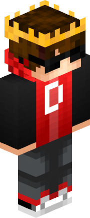 DsrPlayz